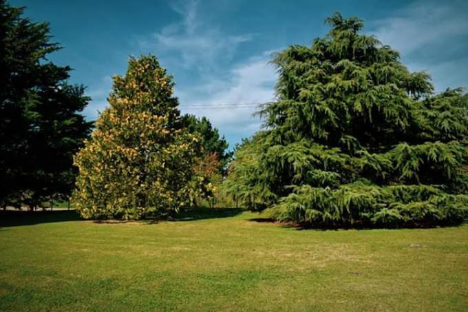 Village Park Tandil Kültér fotó