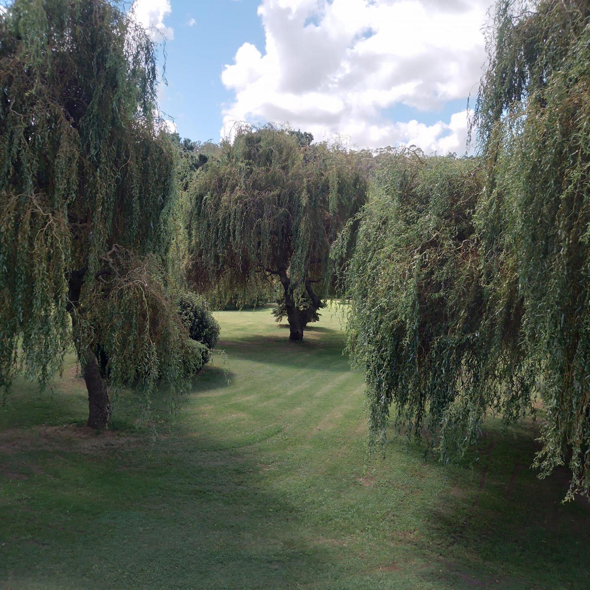 Village Park Tandil Kültér fotó